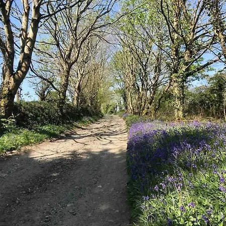 Dog Friendly Studio W/woodland & Lake @coskewis Apartment Helston