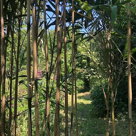 Apartment Dog Friendly Studio W/woodland & Lake @coskewis *