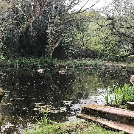 Apartment Dog Friendly Studio W/woodland & Lake @coskewis *