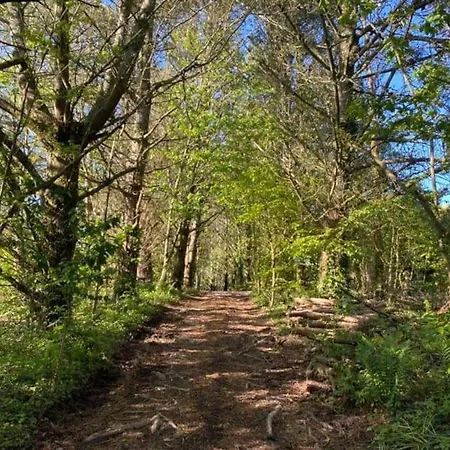 Dog Friendly Studio W/woodland & Lake @coskewis * Helston