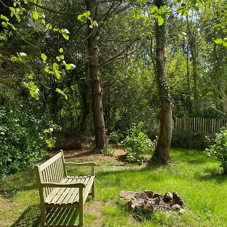 Dog Friendly Studio W/woodland & Lake @coskewis